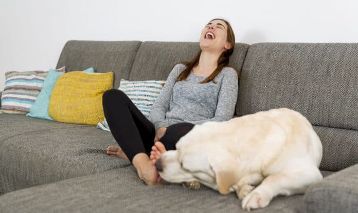 Warum leckt mein Hund mich ab? Die Bedeutung des Ableckens bei Hunden