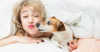 Warum leckt mein Hund mich ab? Die Bedeutung des Ableckens bei Hunden Warum leckt mein Hund mich ab?