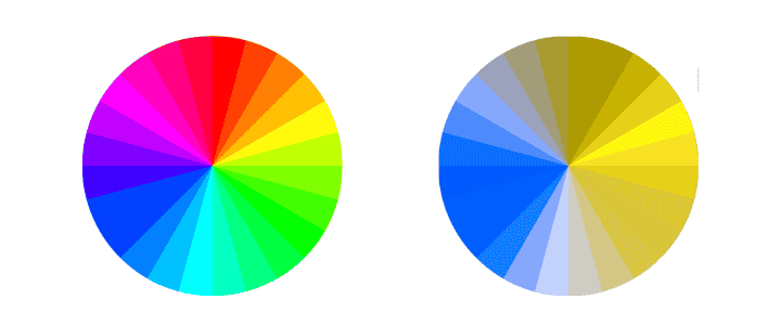 Welche Farben sehen Hunde - Farbspektrum