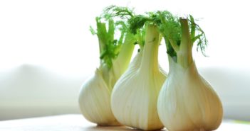 Fenchel für Hunde – 4 Tipps und Fakten zur tollen Knolle Fenchel für Hunde