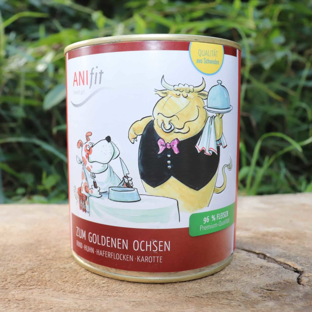ANIfit zum Goldenen Ochsen