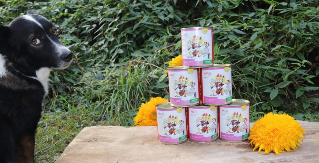 ANIfit Hundefutter Erfahrungen