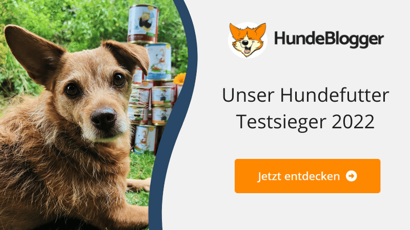 Unser Hundefutter Testsieger - Jetzt entdecken!