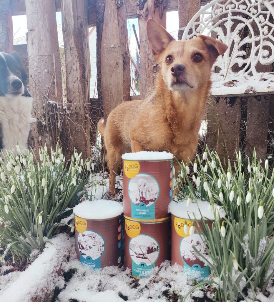 RyDog Hundefutter Test