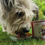 ANIfit Hundefutter Test