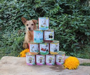 ANIfit Hundefutter Test