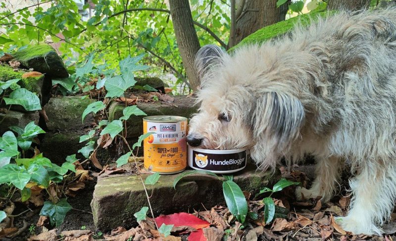 MACs Hundefutter Praxistest