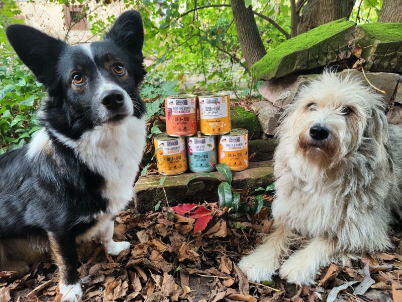 MACs Hundefutter im Test