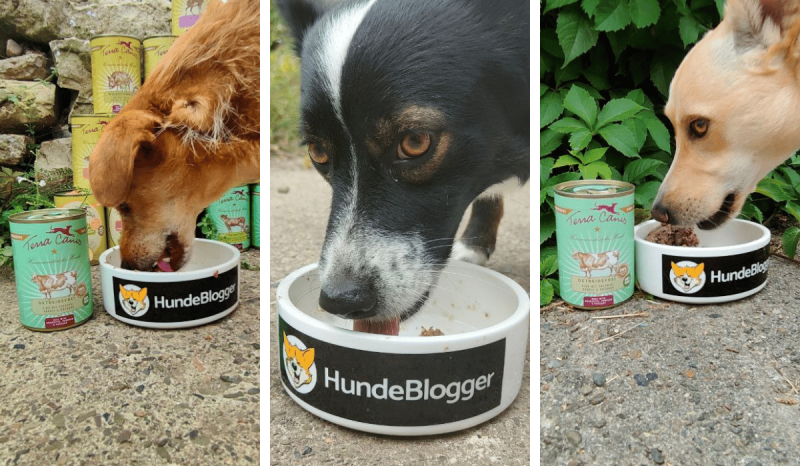 Praxistest Terra Canis Nassfutter für Hunde