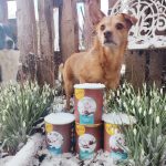 RyDog Hundefutter Test