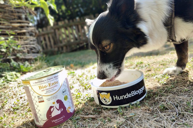 Wie gut ist Herrmanns Hundefutter