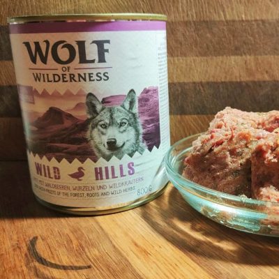 Wolf of Wilderness Wild Hills Test Wolf of Wilderness Wild Hills Test